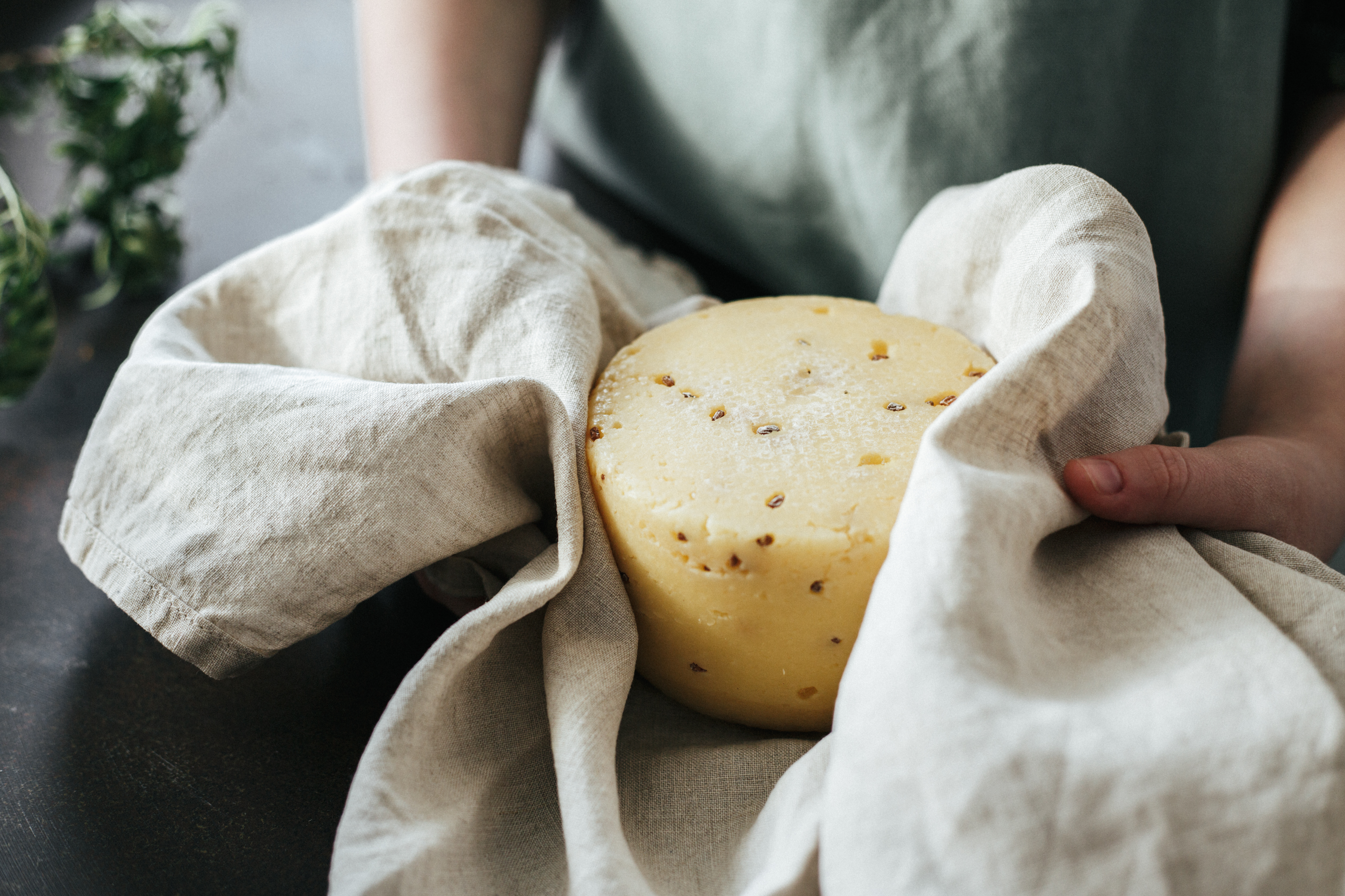 A Cheesemonger Reveals: This Is How You Should Actually Store Your Cheese -  CNET